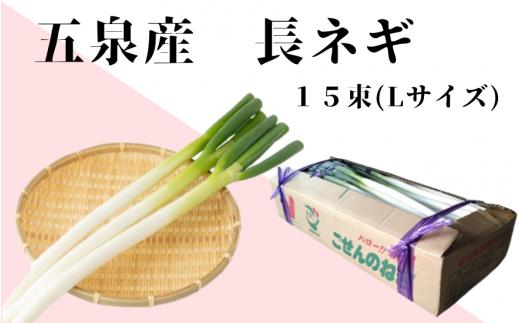 
            ごせんのネギ Lサイズ 15束 野菜 ネギ 長ネギ 葱  新潟県 五泉市 五泉市園芸組織連絡協議会
          