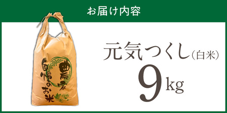 【2026年10月より順次発送】福岡県産ブランド米元気つくし 白米 9kg【令和8年産 新米】 _  元気つくし 9kg  福岡県産 ブランド米 精米 新米 福岡生まれ 品種 香り豊か ふっくら 食感