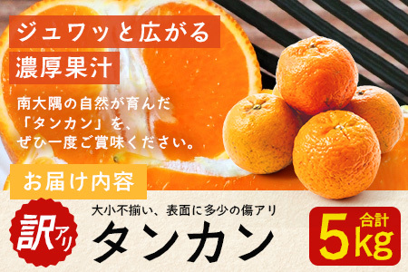 【訳あり】《先行予約》南大隅の太陽浴びた甘くて・おいしい タンカン 約5kg【数量限定】<2026年2月中旬以降順次発送> ID-3｜訳あり 訳アリ たんかん タンカン 柑橘 カンキツ 柑橘類 詰め合