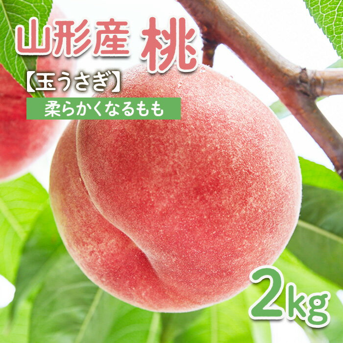 【ふるさと納税】〜私のおススメ〜山形産 もも 2kg【玉うさぎ】 【令和7年産先行予約】FU22-021くだもの 果物 フルーツ 山形 山形県 山形市 お取り寄せ 2025年産