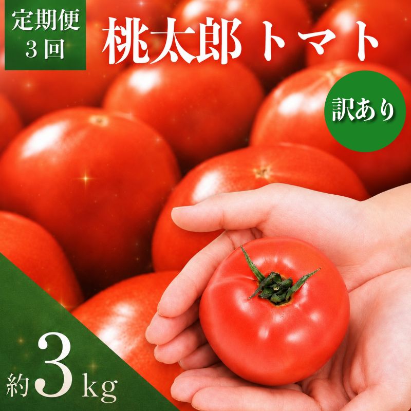 【ふるさと納税】 【2027年先行予約】定期便 3回 訳ありトマト 3kg とまと tomato 桃太郎トマト 野菜 果物 やさい 産地直送 農家直送 鮮度 新鮮 栄養 お弁当 サラダ ソース 調味料 ケチャップ サラダ 美容 新鮮 健康 おすすめ 人気 徳島県 小松島市 発送 2027年2月~
