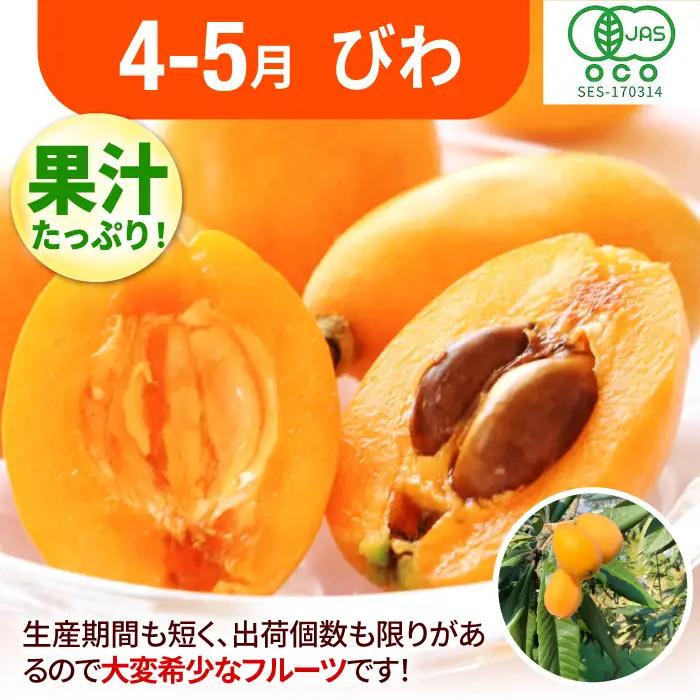 【3回定期便】フルーツ定期便（あまおう/びわ/桃）果物 [AFAB089]