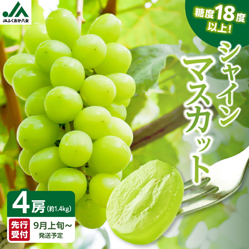 【ふるさと納税】【受付終了間近！】糖度18度以上 シャインマスカット 1.4kg（350g×4パック）【JAふくおか八女】9月上旬〜発送予定 マスカット ぶどう 種なし 皮ごと食べられる 糖度18度 高糖度 甘い 厳選 産地直送 1.4kg 先行予約 旬 クール便 品質保証 数量限定 福岡 八女