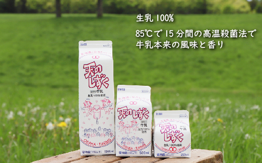 【定期便：全6回】天のしずく　詰め合わせセットＢ(1000ml×6本・500ml×6本・250ml×6本,合計10.5L)　【51004】_イメージ3