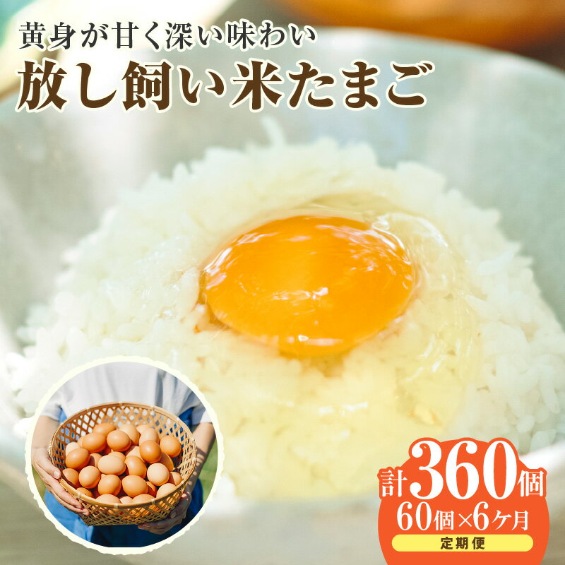 【ふるさと納税】【6ヵ月定期便】放し飼い 米たまご 55個+5個保証【計60個】 農家直送 赤たまご 新鮮 卵 純植物性飼料 飼料にこだわった 卵かけご飯 卵 定期便 6回 送料無料