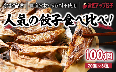宇都宮餃子 運気アップ餃子  5種類味比べ(合計90個)【 餃子 食べ比べセット 冷凍餃子 冷凍食品 惣菜 栃木県 宇都宮市 】※配送不可地域：離島