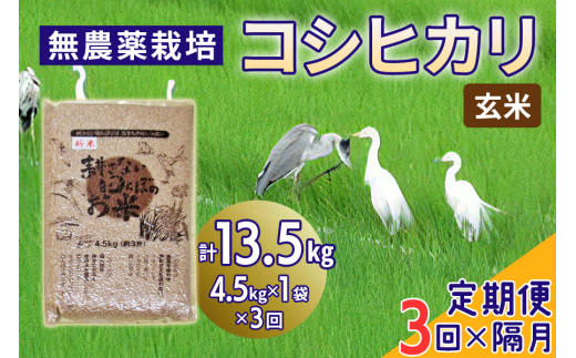 無農薬栽培 コシヒカリ 玄米 2ヶ月に1回定期便（全3回）＜計13.5kg（4.5kg×3回）＞ | 米 お米 コメ ご飯 お取り寄せ 贈り物 上原農場 埼玉県 杉戸町
