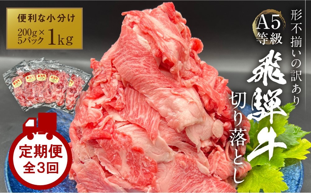 
                  【定期便】 A5等級 飛騨牛 切り落とし 1kg（200g×5パック） 全３回｜小分け 肉 にく 切り落とし 肉 黒毛和牛 定期便 焼き切り落とし 飛騨牛 定期便 牛肉 定期便 肉 和牛 焼肉 切り落とし 牛肉 定期便 牛肉 人気 岩ト屋 HF115
                