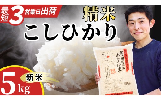 ≪新米≫ 那珂川の清流 コシヒカリ ホタル米 5kg  精米 令和8年産 お米 米 ご飯 城里町 桂農産   産地直送 (AX009)