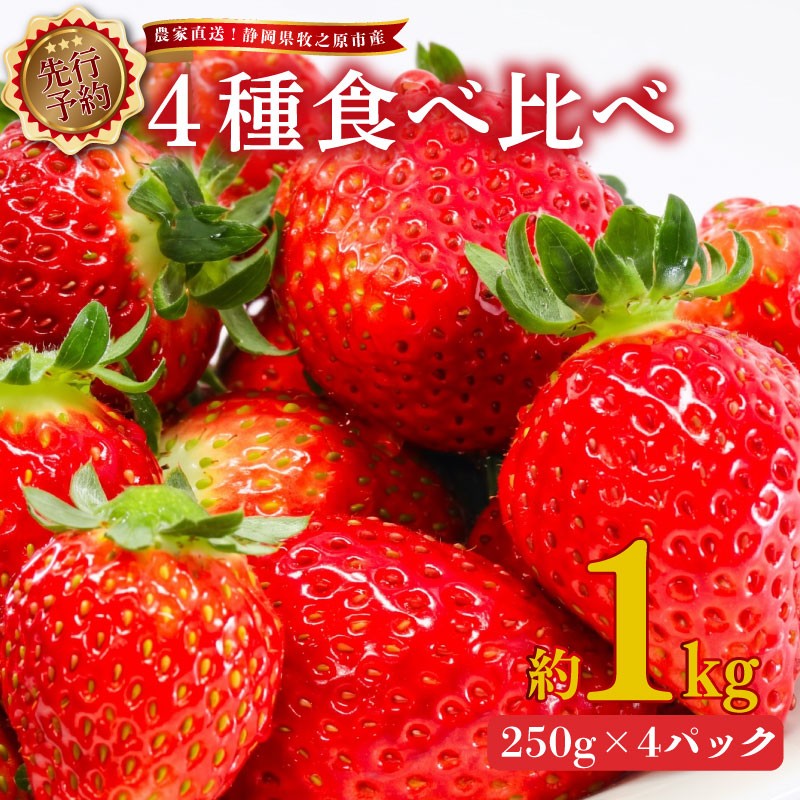 
                  【2027年2月上旬から発送 】いちご 4種 食べ比べ 1kg 250g × 4パック おまかせ セット スターナイト 紅ほっぺ 章姫 きらぴ香 かおり野 食べ比べ 苺 イチゴ ストベリー フルーツ スイーツ デザート くだもの 果物 ストロベリー 甘い おいしい 国産 新鮮 フレッシュ 贈答用 プレゼント お歳暮 産地直送 農家直送 静岡いちご 静岡苺 静岡県 牧之原市 有限会社ヤマセン
                