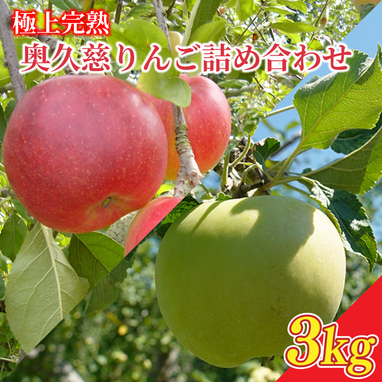 【先行予約】樹上完熟の奥久慈りんご詰め合わせ　園主おまかせ約3kg（6～14玉）【2026年9月下旬頃順次発送開始予定】斉藤りんご園第2直売所｜茨城県 大子町 林檎 果物 フルーツ 旬（CG001）