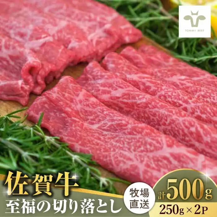 佐賀牛切り落とし 計500g（250g×2袋） / 佐賀県 / 有限会社佐賀セントラル牧場 [41ASAA017]