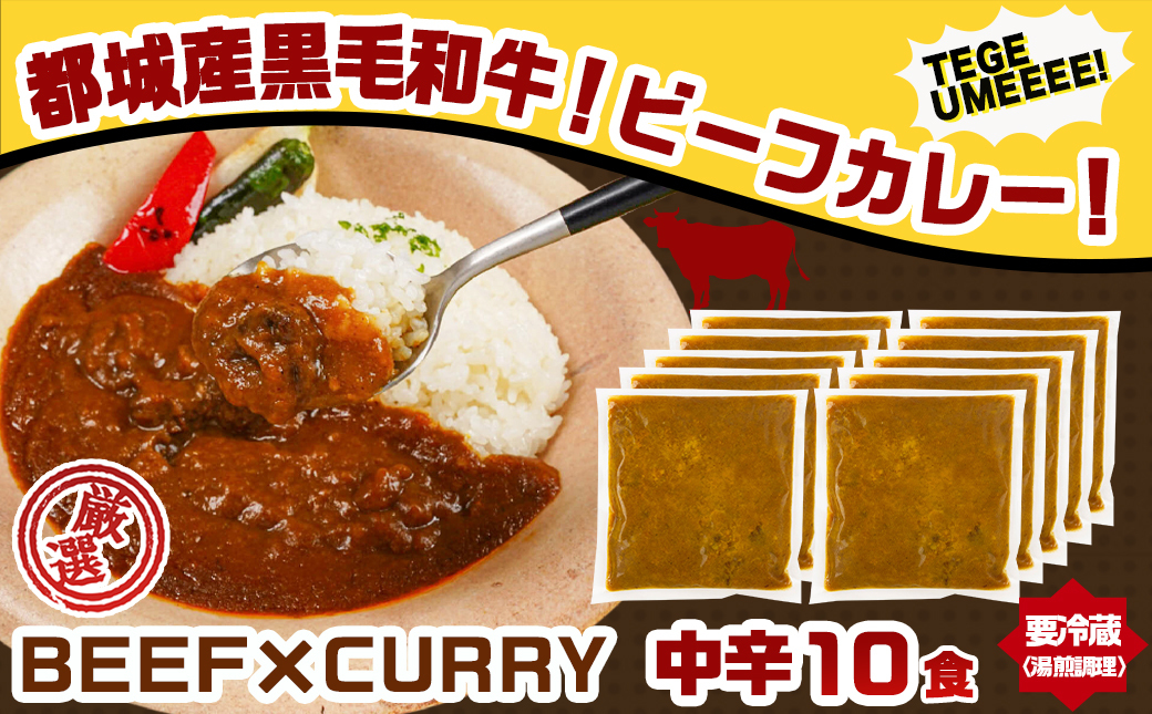 【☆クリスマス☆】カレー倶楽部ルウのビーフカレー10食&手羽元カレー2食セット≪12月20日～23日お届け≫_AA-2709-OJX