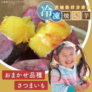 【2025年1月中旬より順次発送】熟成紅はるかの冷凍焼き芋約2kg＋おまかせ品種さつまいも　合計約2.2kg！(EY-5)