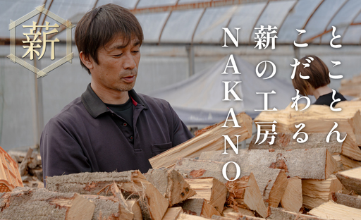 広葉樹MIX薪 20kg 乾燥薪 25〜35cm 端材付き 含水率 20％以下 クヌギ ナラ カシ シイ 焚き火 キャンプ アウトドア バーベキュー BBQ 薪ストーブ 高知県 大月町