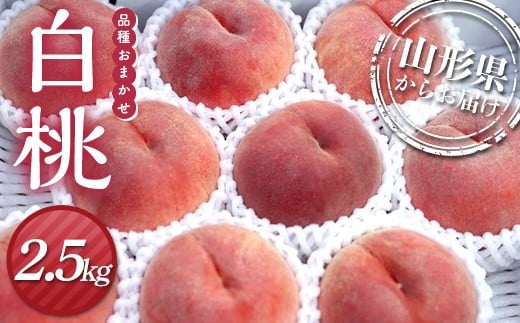 ≪先行予約≫2026年度発送 白桃 2.5kg（8個～14個入り） もも モモ 桃 デザート フルーツ 果物 くだもの 果実 食品 山形県 FSY-2168