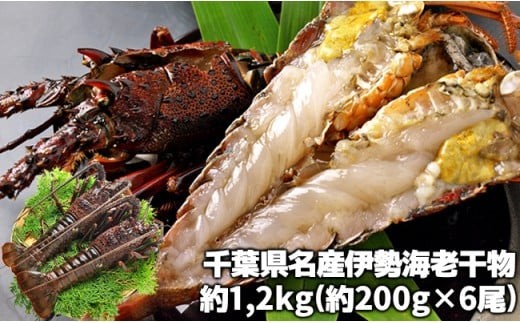 
            C04-E04 伊勢海老の干物 200g×6尾
          