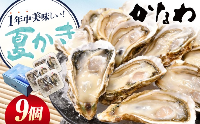 
                  【生牡蠣】かなわのハーフシェル『夏かき』9個入り 江田島市／株式会社かなわ [XBP012]｜生牡蠣 生食用 牡蠣 生食 殻付き 殻付 殻 かき カキ 生牡蠣 広島牡蠣 オイスター ハーフシェル 夏かき 魚介類 魚介 貝類 海鮮 広島県産 国産 産地直送 贈答 ギフト 特産品
                