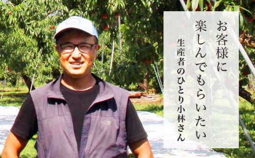 なつっこ 約3kg 7～12玉 ［おぶせファーマーズ］桃 もも モモ ピーチ フルーツ 果物 先行予約 長野県産 信州産 クール便 冷蔵便 産地 直送 お取り寄せ 産地直送 数量限定 送料無料 令和7