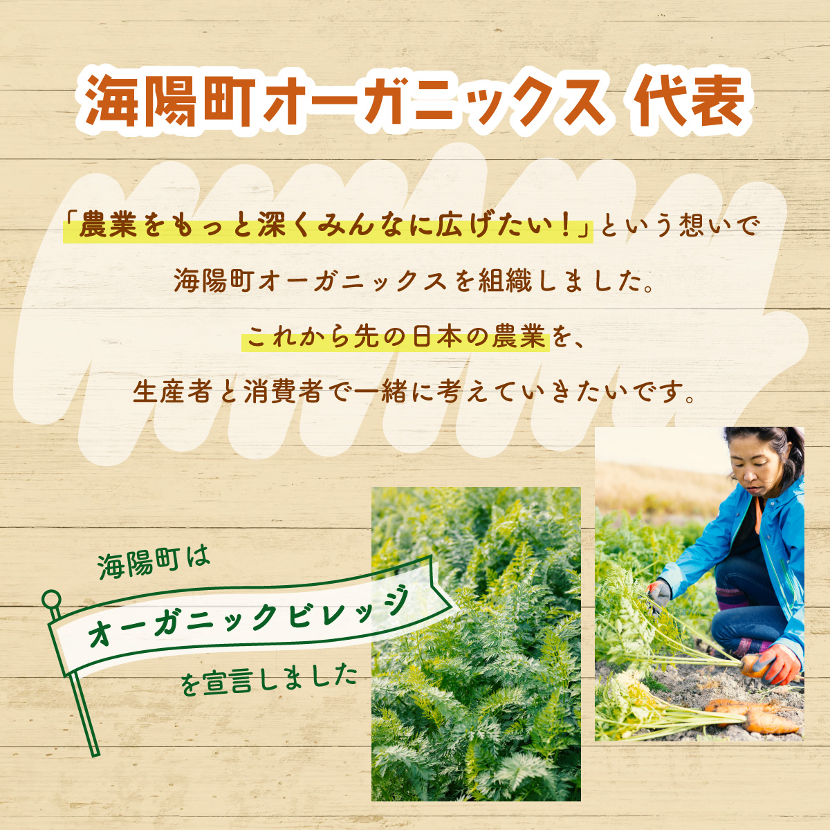 日本を平和にする人参　Peace&Carrots　約４kgセット　