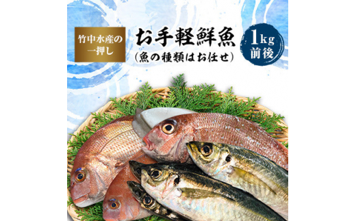 竹中水産の一押し「お手軽鮮魚」1キロ前後＜C22-235＞【1073396】