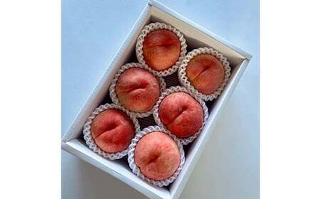 《先行予約 2024年発送》～わたしのオススメ～山形産もも2kg「玉うさぎ」 FSY-0174