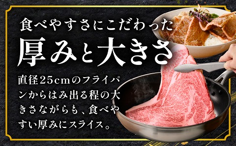 宮崎牛 サーロインステーキ 3枚 合計600g_M243-037