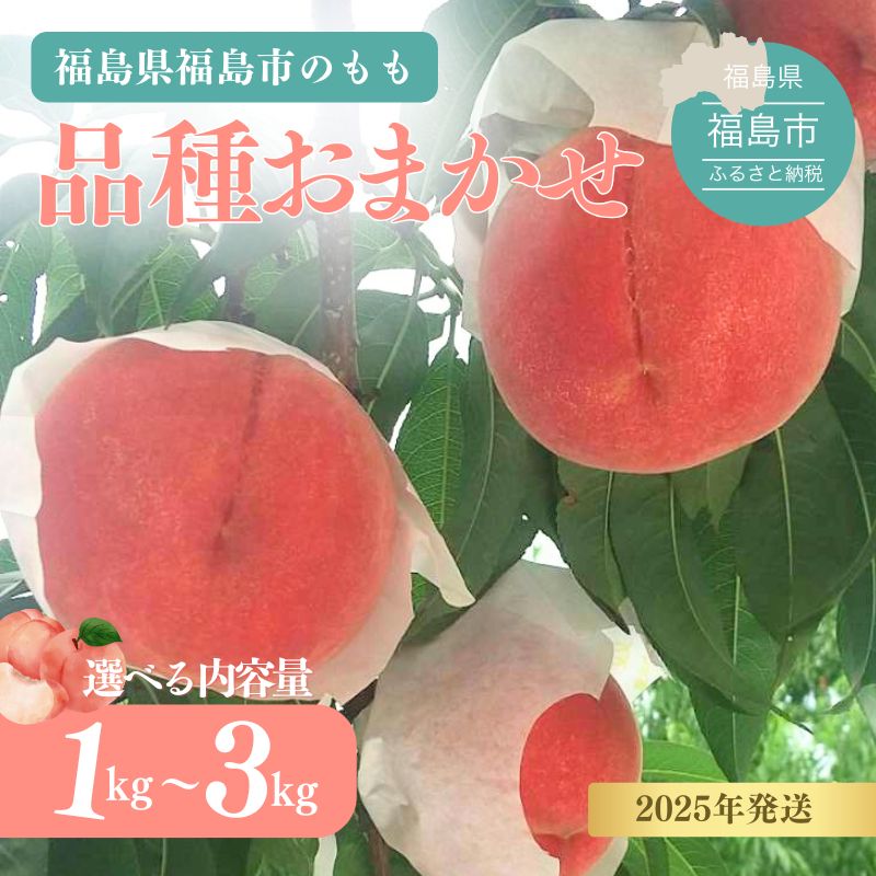 【ふるさと納税】福島の桃 品種おまかせ いとう農園_平野 選べる内容量 約1kg 約2kg 約3kg【2025年発送】
