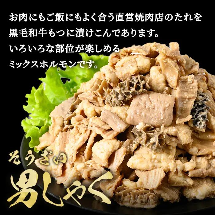 ホルモン たれ漬けホルモン焼 1kg(250g×4P) 牛肉 黒毛和牛 【ホルモン】【ho1491】