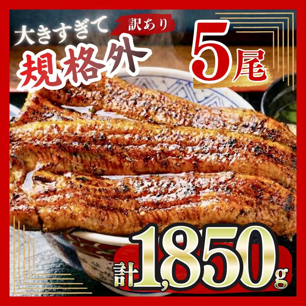 うなぎ 蒲焼 特大 訳あり 5尾 1.85kg うなぎ