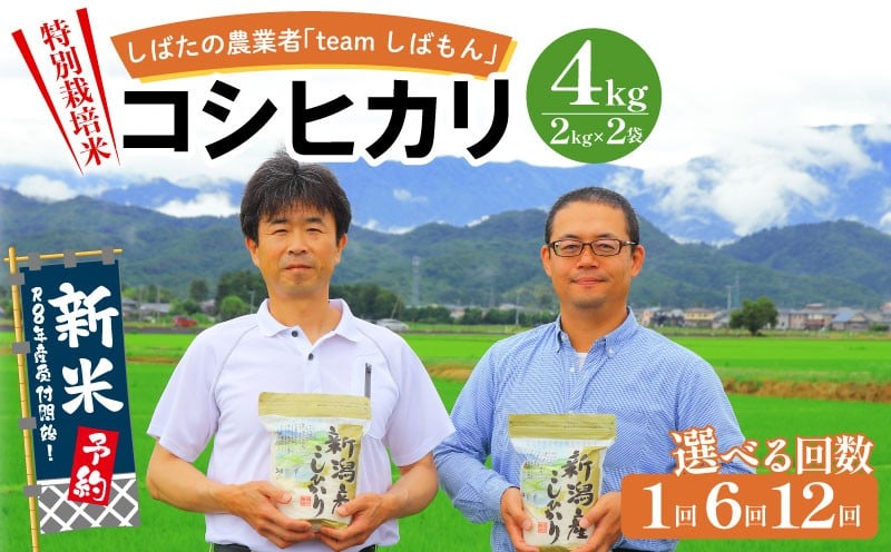 
            【R8年産先行予約】 新米 4kg～ 選べる 単品 定期便 特別栽培米コシヒカリ 新潟 米 新潟県 こめ ご飯 ごはん おいしい こしひかり 新発田 新発田産 新潟産 朝食 昼食 夕飯 炊きたて 精米 teamしばもん D31_03YP
          