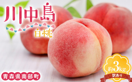 
            【訳あり】 川中島白桃 約3kg（8～12玉） 【泉山果樹園】 青森県 南部町 モモ もも 果物 くだもの フルーツ 規格外 家庭用 わけあり ワケアリ F21U-468
          