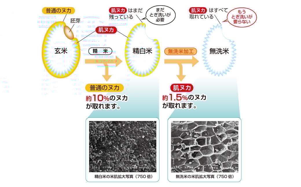 子育て応援米 奈義町産米 BG無洗米 （ きぬむすめ ） 5kg