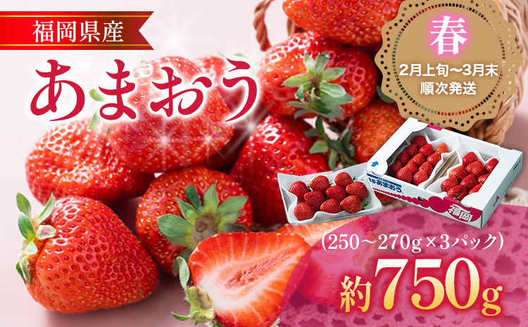 
            福岡産【春】あまおう 3パック 合計約750g～810g （1パックあたり約250g～約270g） いちご 苺 果物 フルーツ 九州産 福岡県産 冷蔵 送料無料 【2月上旬発送開始予定】
          
