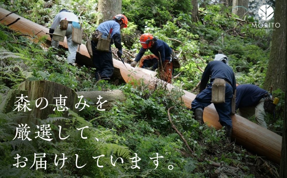 丸太(切り株)とアイアンスツール(スリム四つ脚×桧)／ スツール おしゃれ ひのき 桧 ヒノキ 木製 椅子 サイドテーブル チェア 天然素材 天然木 丸太 アイアン ヴィンテージ シンプル インテリア