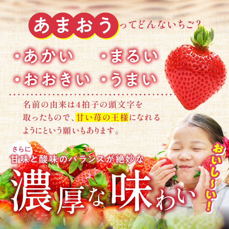 苺（あまおう）270g×2パック×2箱 _ あまおう 270g 2パック 2箱 計 1080g 福岡県産 いちご ストロベリー 特別栽培 認証 アフター保証 安心 安全 艶 果物 果汁 フルーツ スイ