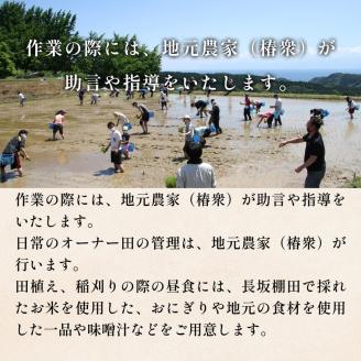 令和６年度 長坂棚田　オーナー会員（１区画）
