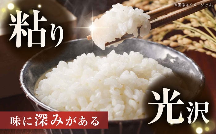 米 お米 コメ 白米 精米 国産 長崎 JA