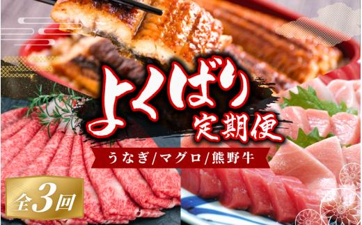 【ふるさと納税】【3か月定期便】よくばりな定期便！うなぎ･高級和牛･マグロ　人気返礼品を3回お届け♪ / 本まぐろ まぐろ うなぎ 鰻 肉 牛肉 和牛 人気 冷凍 定期便 ３回【tkb104】