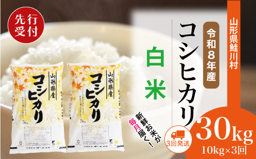 ＜令和8年産米先行受付＞ 令和9年6月上旬より配送開始 こしひかり【白米】30kg定期便 (10kg×3回)　鮭川村