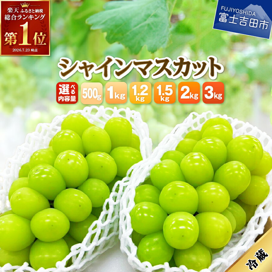 山梨県 シャインマスカット お楽しみセット 2房1kg