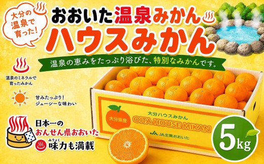 おおいた温泉みかん ハウスみかん約5kg 秀品（バラ詰め）※S玉～L玉＜132-023＞