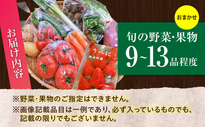 【数量限定】菊陽町特産品 「野菜・果物などの詰め合わせ」 / 新鮮 詰合せ フルーツ セット 旬 おまかせ にんじん ごぼう 直売所 やさい くだもの 熊本県 特産品 菊陽町 【有限会社さんふれあ】 
