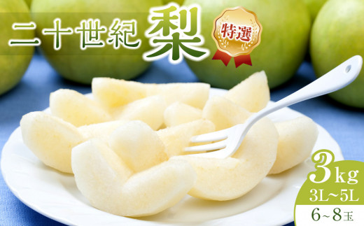 
                  281.【先行予約】二十世紀梨 特選 3kg 3Ｌ～5Ｌ 6～8玉前後 ※2026年8月下旬～9月下旬頃に順次発送予定 【先行予約 梨 なし 果物 フルーツ くだもの 鳥取県 北栄町 おすすめ 人気 送料無料】
                
