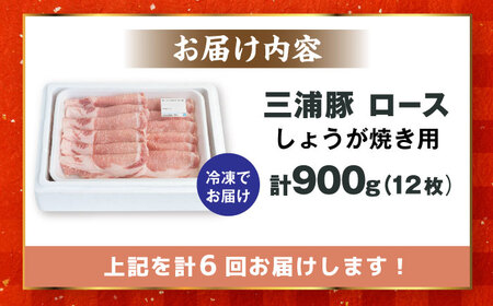 【6回定期便】 三浦豚 豚肉 ロース900ｇ（生姜焼き用） / 恵那市 / あづま精肉店 [AUDL013]