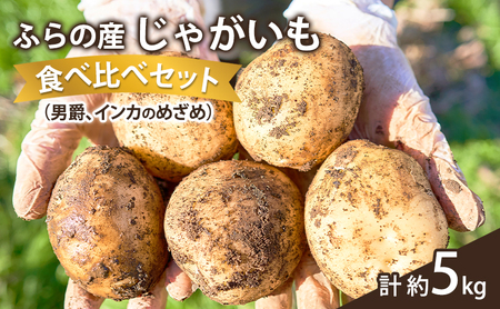 【2026年秋冬発送】じゃがいも 食べ比べセット 男爵3kg＋インカのめざめ2kg【約5kg】