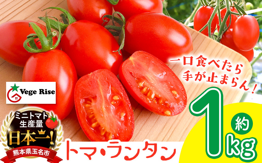 
                  ミニトマト生産量 日本一 玉名市！！ 「 トマ・ランタン 」 約 1kg | ミニトマト トマト Vege Rise 野菜 やさい 高糖度 濃厚 アイコ 熊本県 玉名市 くまもと たまな
                