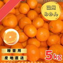 【ふるさと納税】【先行予約】宮川早生みかん 贈答用 秀品 5kg（2S~2L）【2024年11月下旬から12月中旬までに順次発送】 / みかん 蜜柑 柑橘 果物 フルーツ 早生 秀品 贈答