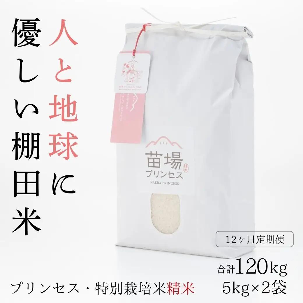 【令和8年産先行予約】【12ヶ月定期便】魚沼コシヒカリ 苗場プリンセス 特別栽培米 農薬化学肥料5割減 精米（10kg）×12回 |津南町 魚沼産コシヒカリ