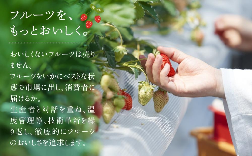 福岡産【冬】あまおう2パック【筑前町】※一部離島不可